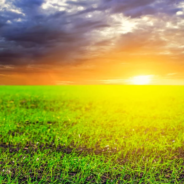 Beautiful Green Rural Fields Dramatic Sunset — Stock Photo, Image