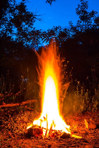 Nahaufnahme Lagerfeuer Einem Nächtlichen Wald — Stockfoto