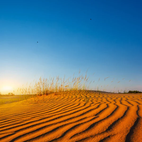 Deserto Arenoso Vermelho Pôr Sol — Fotografia de Stock