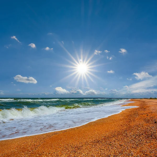 Yaz Sahne Fırtınayı Işıltı Güneş Altında Defne Deniz — Stok fotoğraf