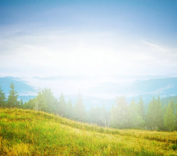 Όμορφο Καταπράσινο Ορεινό Τοπίο Ένα Ηλιακό Φως — Φωτογραφία Αρχείου