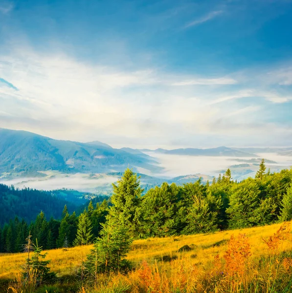 Krásné Zelené Horské Údolí Krajina — Stock fotografie