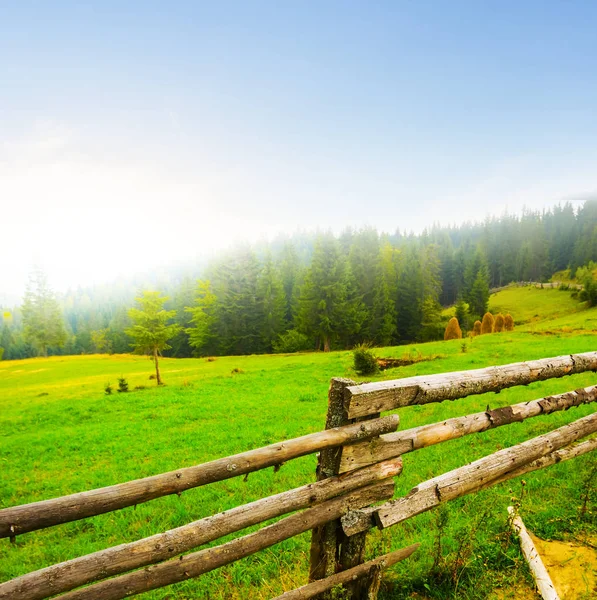 緑豊かな山の牧草地の木製フェンス — ストック写真
