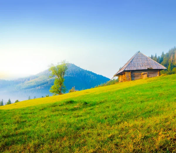 早朝の斜面上の小さな家の緑山の谷 — ストック写真