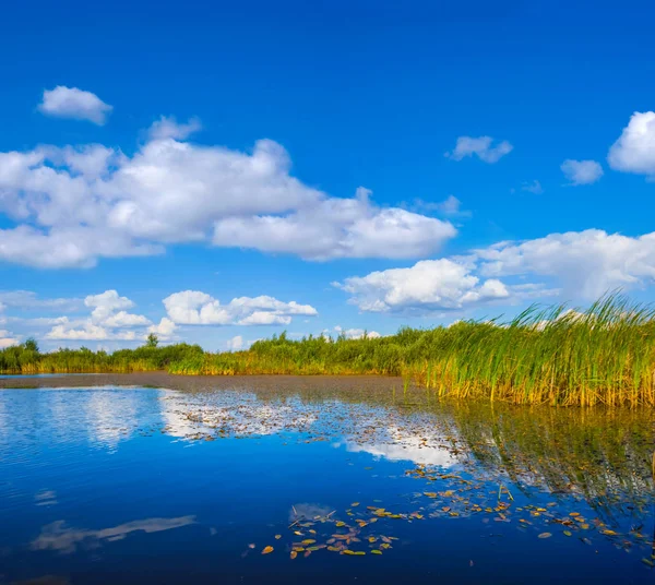 宁静的小湖在一个大草原在炎热的夏天天 — 图库照片