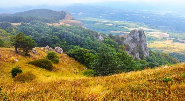 Grünes Gebirgstal Blauem Nebel — Stockfoto