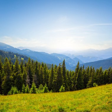 Yeşil dağ Vadisi ormanda sabah erken, mavi bir sis ile