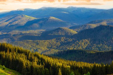 akşam yeşil ağaçlık dağ