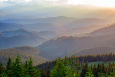 Sakin gece manzara, bir sis alacakaranlıkta dağ Vadisi