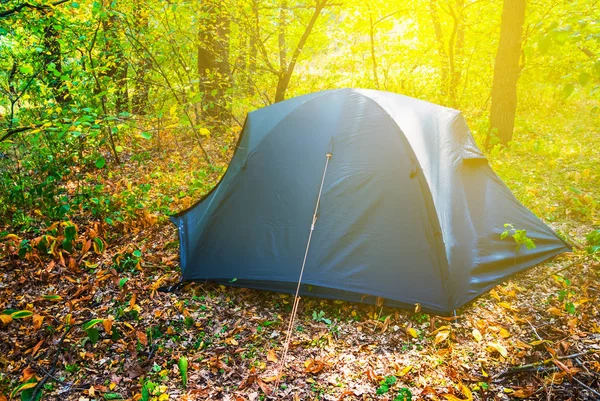 Touristic Tent Forest — Stock Photo, Image
