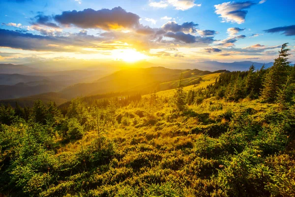 Grönt Berg Dalen Den Dramatiska Solnedgången — Stockfoto