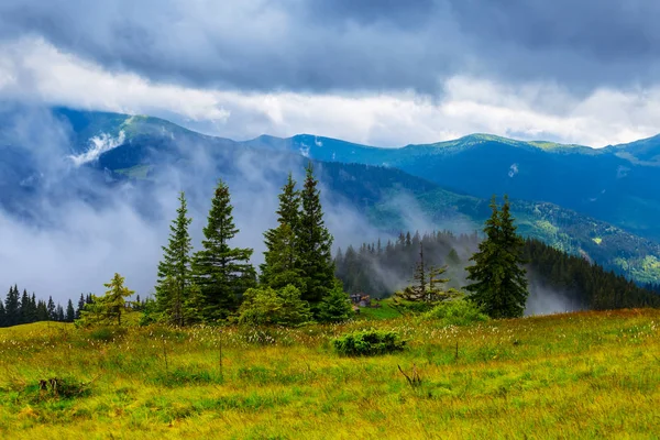 Plateau Montagne Verdoyant Dans Une Brume Sous Des Nuages Denses — Photo