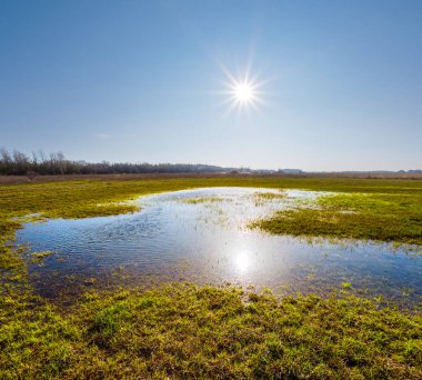 Bahar yeşil alanlar bir ışıltı güneş altında su