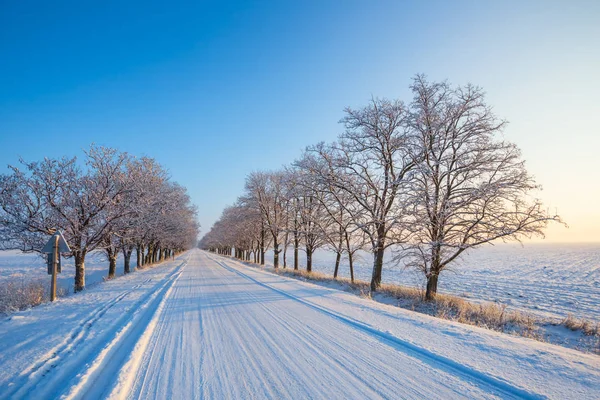 Snowbound Winter Weg Door Een Steegje — Stockfoto
