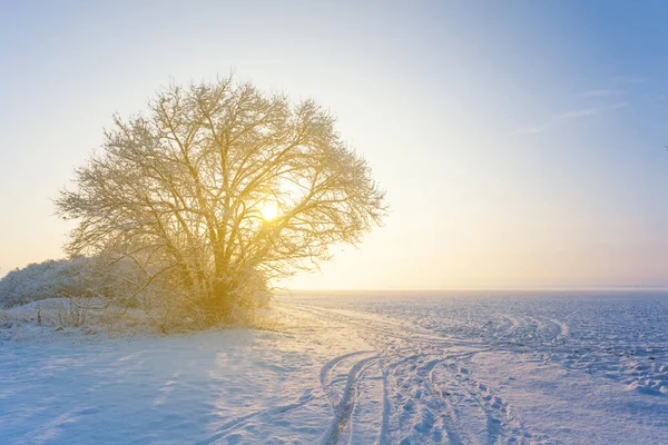 winter snowbound plain at the sunrise