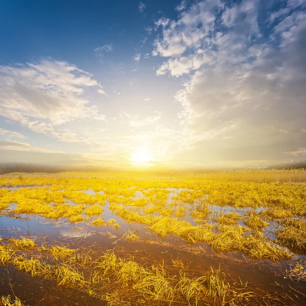 Frühlingsprärie Wasser Bei Sonnenuntergang — Stockfoto