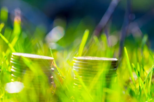 Högen Mynt Ett Färskt Grönt Gräs — Stockfoto