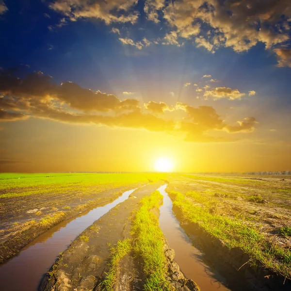 dirty flooded ground road among a green spring fields at the sunset