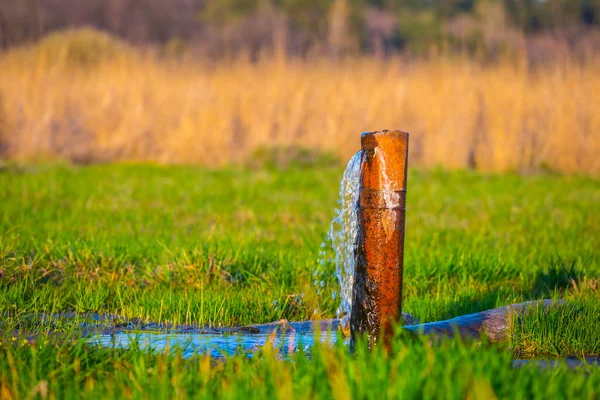 Bron Van Kleine Rivier Onder Een Groene Velden — Stockfoto