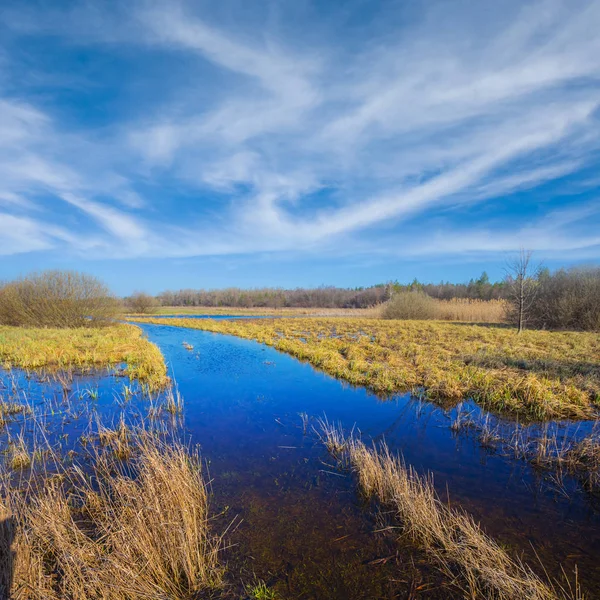 水で春の草原の道 — ストック写真