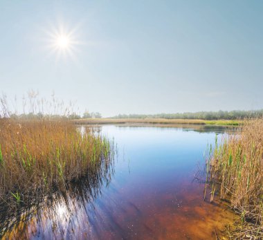sıcak ışıltı güneş altında güzel küçük göl