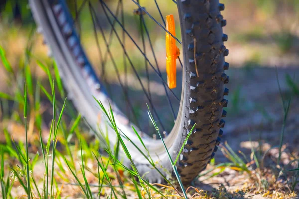 Närbild Cykelhjul Sand — Stockfoto