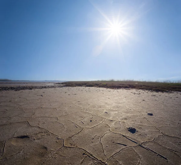Dry Saline Land Hot Sparkle Sun — Stock Photo, Image