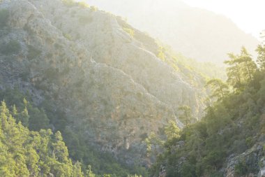 Dağ kanyonunun yamacı sisli ve sabahın erken saatlerinde, doğal dağ arka planında