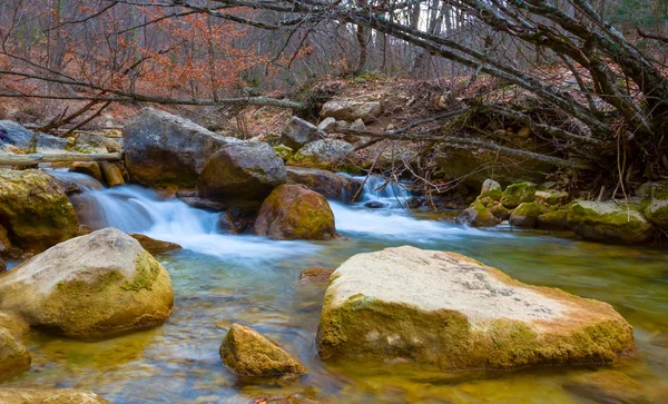 Pequeno Rio Montanha Fluir Através Canyon Sagacidade Floresta Outono Vermelho — Fotografia de Stock