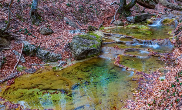 小さなエメラルド山の川が秋の森を流れ — ストック写真