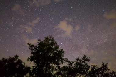 Gece yıldızlı gökyüzü orman siluetinin üzerindeki bulutlarla