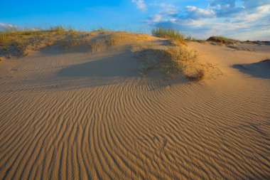Akşamları bulutlu bir gökyüzünün altında kumlu çöl manzarası