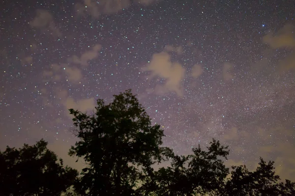 Noční Hvězdná Obloha Mraky Nad Lesní Siluetou — Stock fotografie