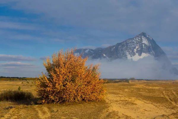 赤い秋の木々が草原と岩を雪の中に閉じ込め — ストック写真