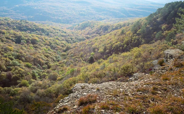 Dağ vadisi sisli ve gün ışığında