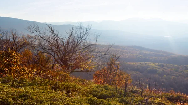 Горная Долина Голубом Тумане Осенняя Открытая Сцена — стоковое фото