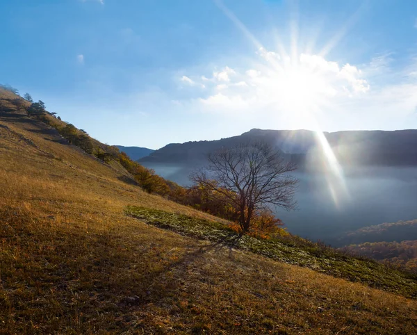 Ladera Del Valle Montaña Con Árbol Solo Día Soleado — Foto de Stock