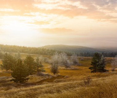 Sonbahar, gün batımında sisli bir dağ yaylası.