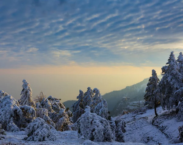 Pendiente Del Monte Con Bosque Pinos Una Nieve Atardecer —  Fotos de Stock