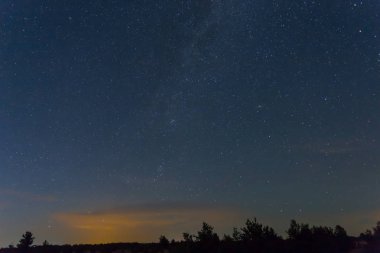 Gece manzarası, gökyüzü yıldızlı çayır ve orman silueti.