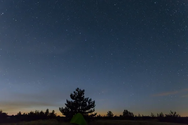 Cena Livre Noite Céu Estrelado Acima Pradaria Silhueta Floresta — Fotografia de Stock