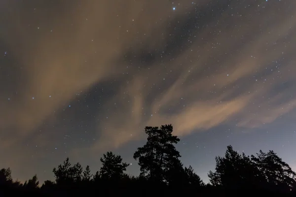 night sky with stars and clouds above forest silhouette