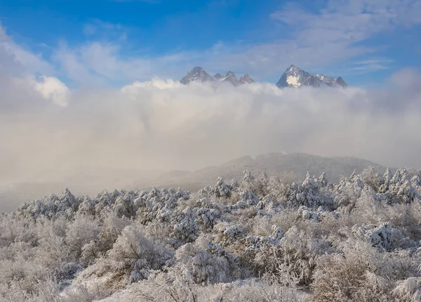 Invierno Montaña Valle Escena Roca Cresta Más Allá Bosque Una — Foto de Stock