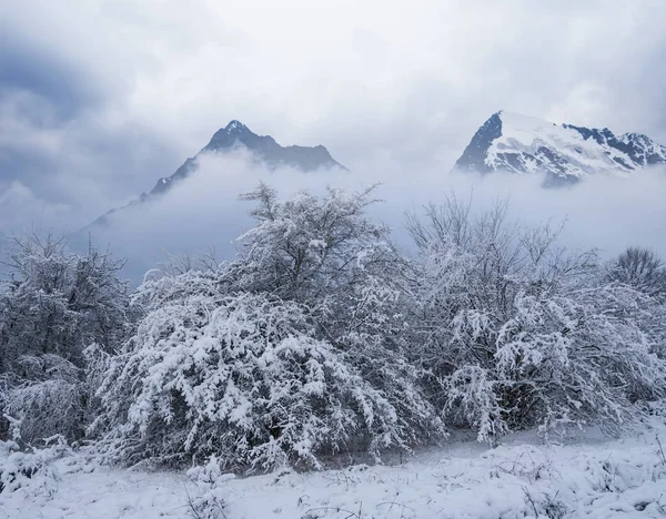 Winterlandschaft Gebirgstal Felsgrat Jenseits Des Waldes Schnee — Stockfoto