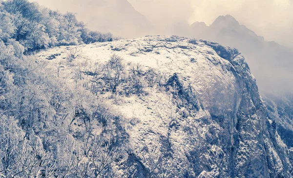 Karlı Sisli Bir Dağ Yamacında Kış Arka Planında — Stok fotoğraf