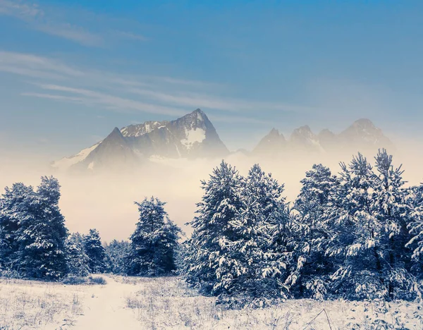 Zimní Horská Krajina Skalní Hřeben Lesem Sněhu — Stock fotografie