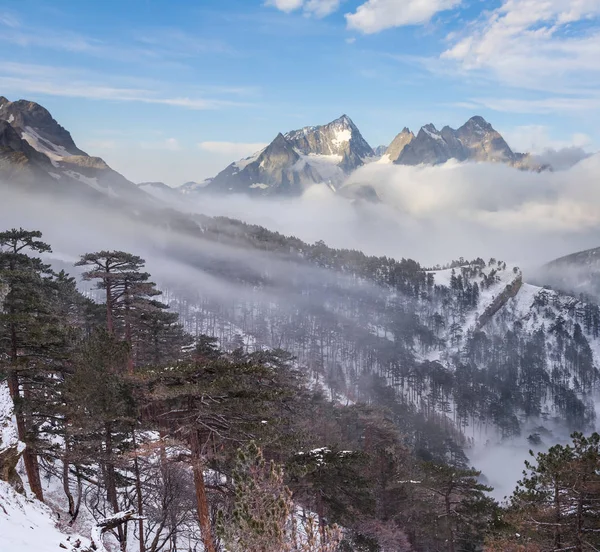 Schneebedeckter Berghang Mit Kiefernwald Wolken — Stockfoto