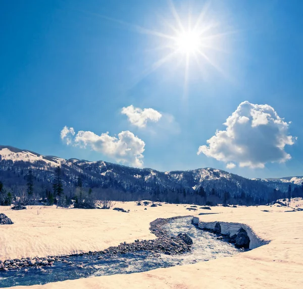 Berg Rivier Stromen Door Smeltende Sneeuw Lente Zonnige Dag — Stockfoto