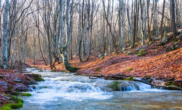 Pequeño Río Corriendo Través Cañón Montaña Otoño Escena Aire Libre —  Fotos de Stock