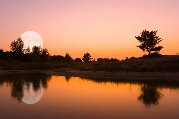 Petit Lac Calme Silhouette Arbre Énorme Lune Montante Reflétée Dans — Photo